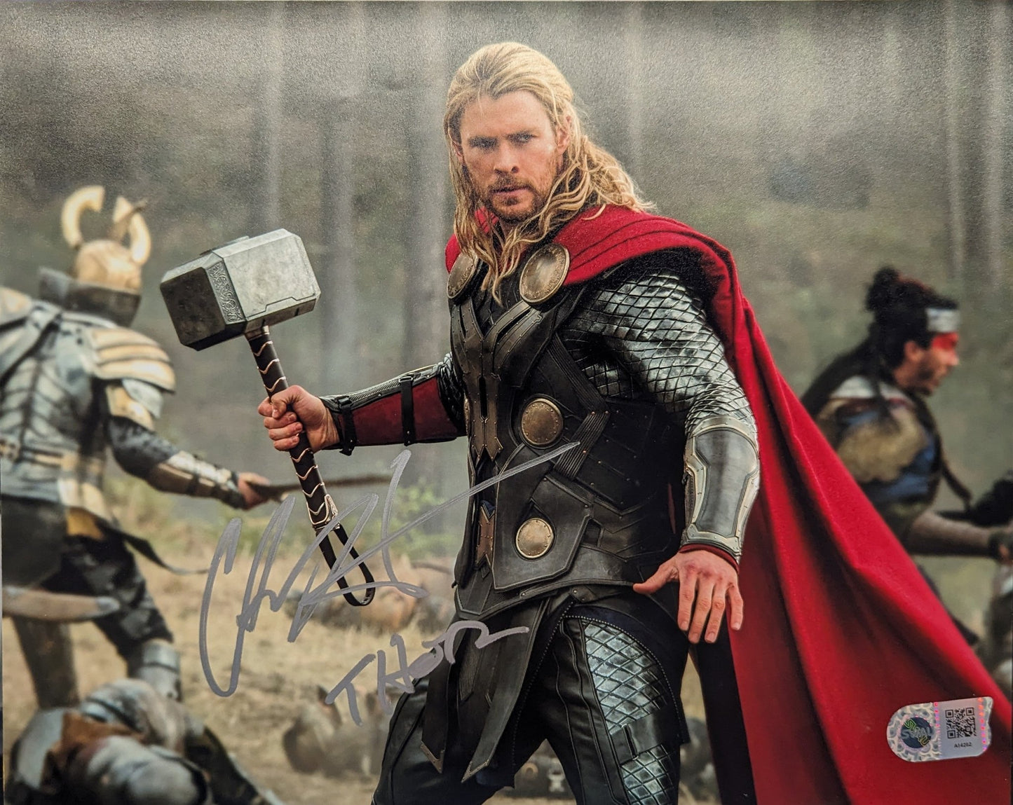 Chris Hemsworth (Thor) Signed 11x14 - Covert Comics and Collectibles
