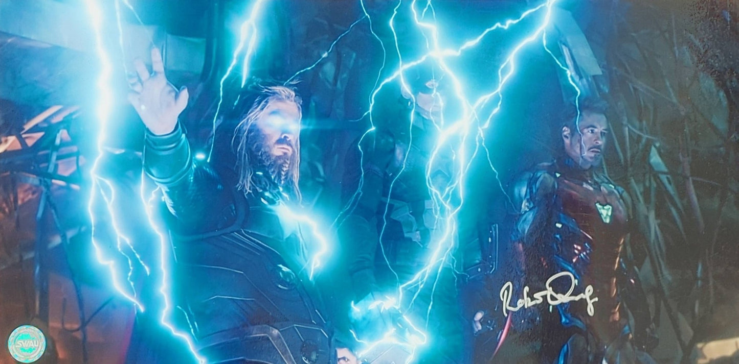 Robert Downy Jr (Iron Man) Signed 10x20 - Covert Comics and Collectibles